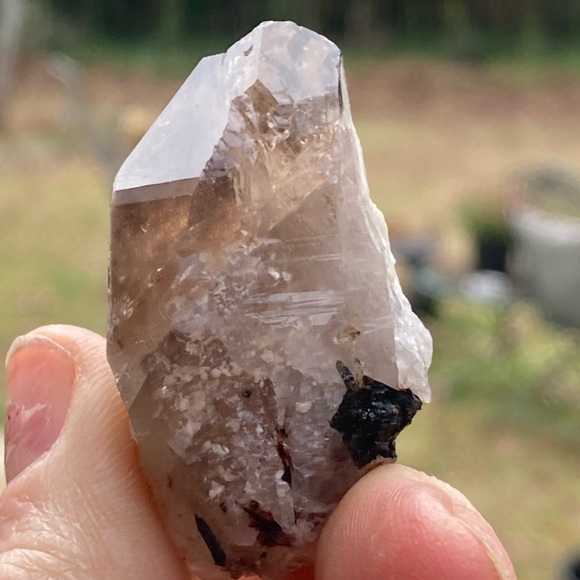 Smoky Quartz with Aegirine from Malawi, South Africa - Picture 14 of 15